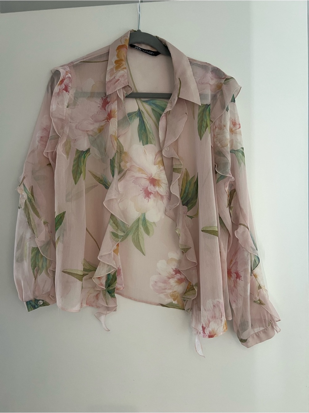 Zara Blush Sheer Floral Ruffle Blouse